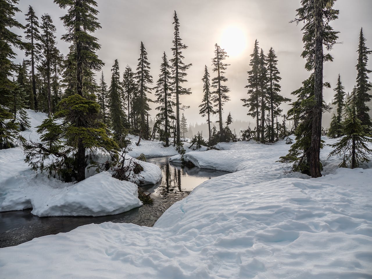 Winter Schnee Sonne Das Julfest der Germanen